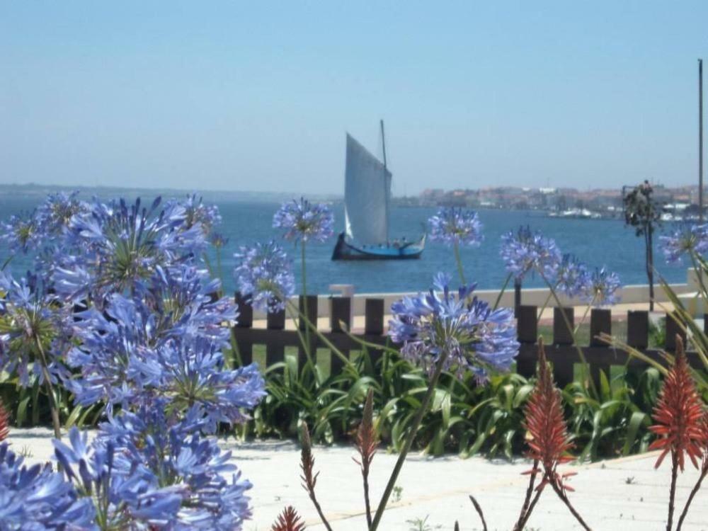 Villa Casa Do Bico Da Biaritz Costa Nova Esterno foto